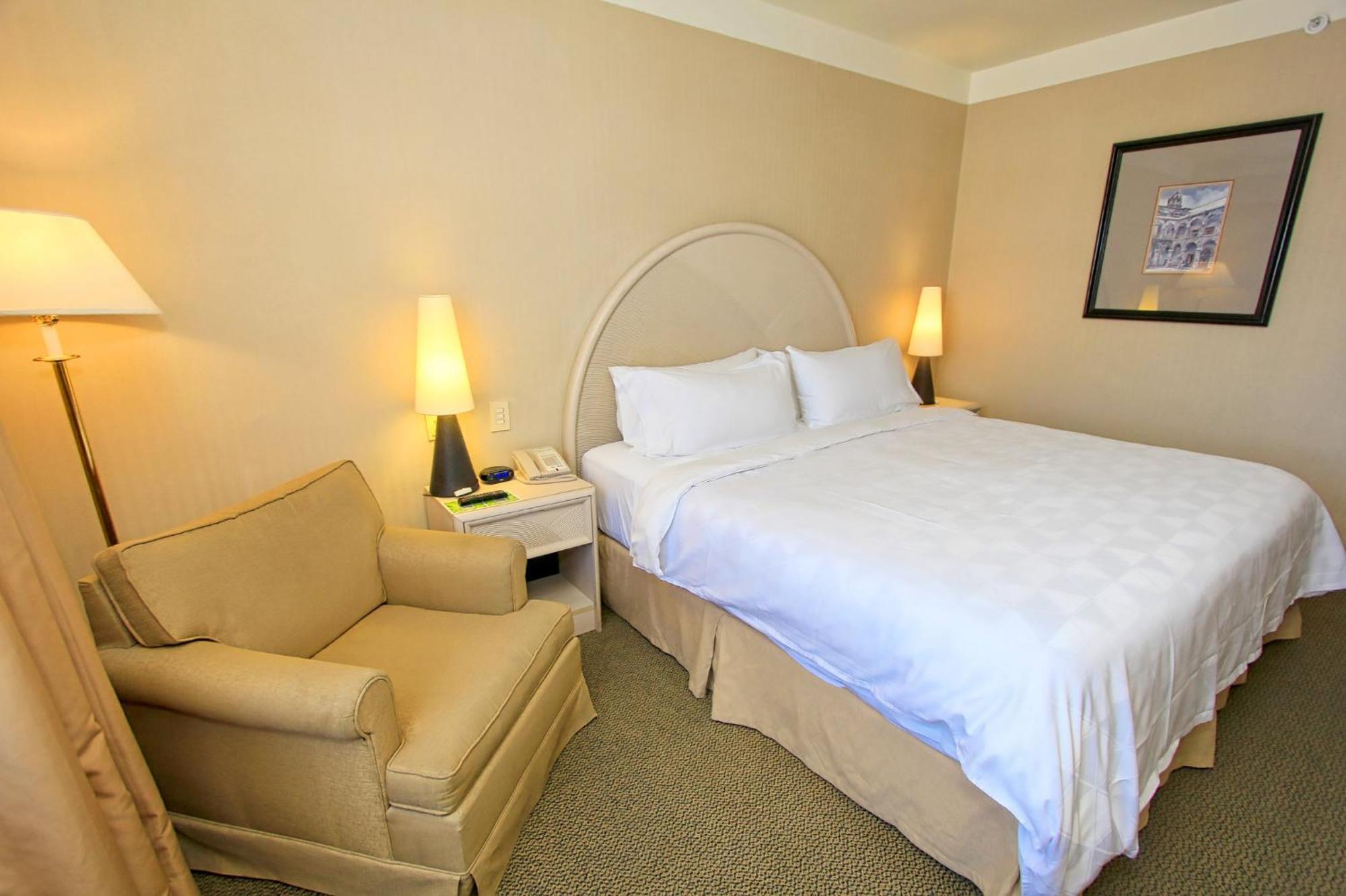 Holiday Inn Leon-Convention Center By Ihg Bagian luar foto